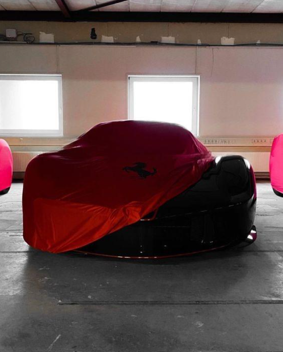 Ferrari Car Cover, For all Ferrari Vehicle, Tailor Fit, Ferrari Car Protector